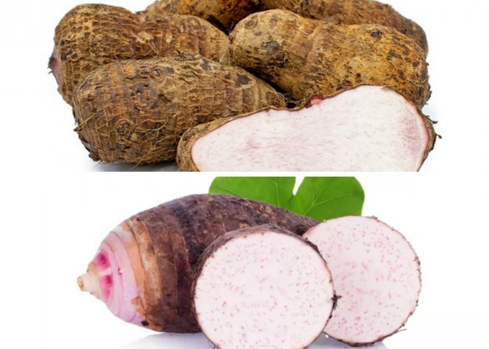 Jangan Remehkan Talas! Ini 9 Manfaat dan Kandungan Nutrisinya bagi Kesehatan