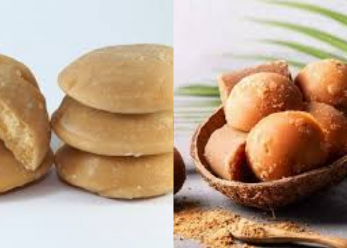 Jarang Diketahui Ini 10 Manfaat Gula Palem Untuk Kesehatan Tubuh Yang Luar Biasa!