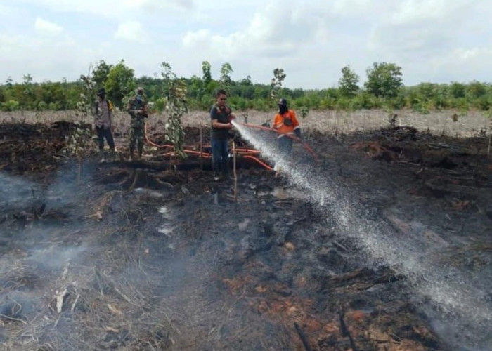 Karhutla di Sumsel Hampir  3.000 Hektar, Daerah Ini Paling Parah Luas Kebakaranya