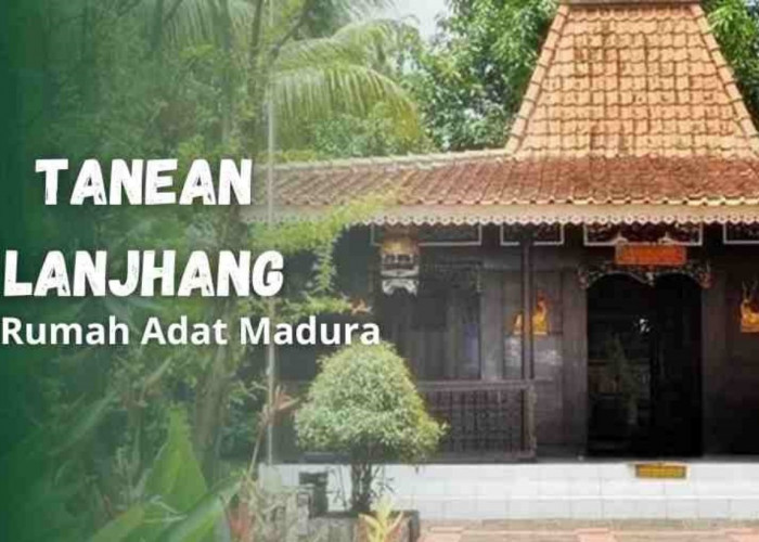 Ingin Tahu Keunikan Rumah Adat Suku Madura? Lihat Fakta Menariknya!