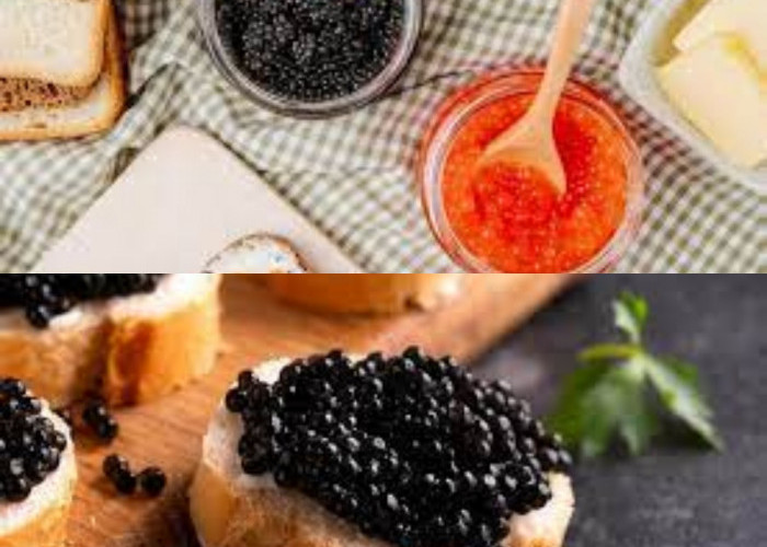 Terkenal Hidangan Mahal! Ternyata Inilah 5 Keajaiban yang Tersimpan dari Sikecil Caviar 