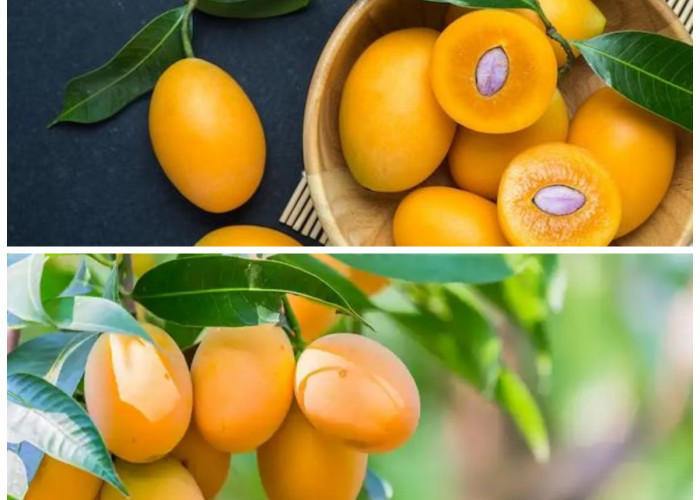 Manfaat Ajaib Buah Gandaria: 9 Alasan Mengapa Tubuh Anda Membutuhkannya!