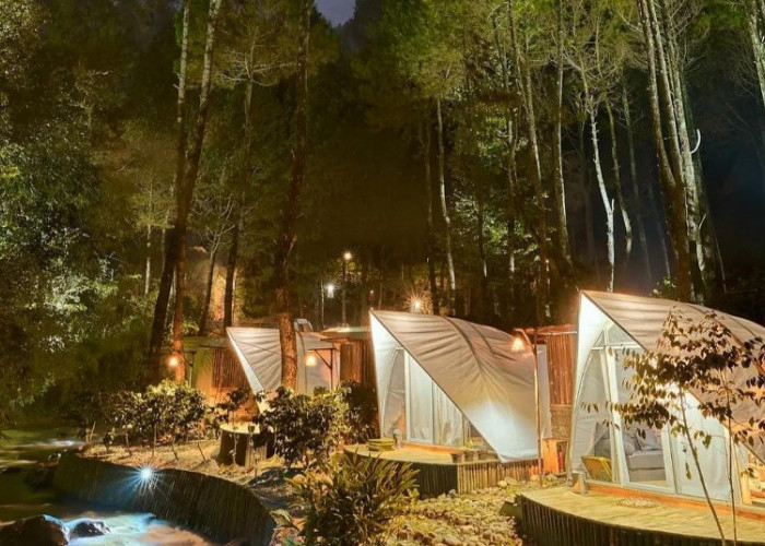 Mau Liburan Camping Dialam Bebas Yang Aman, Ke Bogor Aja, 5 Lokasi Berkemah Ini Dijamin Bikin Kamu Adem