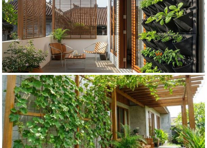 Teras Sempit Jadi Subur dan Estetik! Ide Kebun Buah Vertikal untuk Hunian Modern