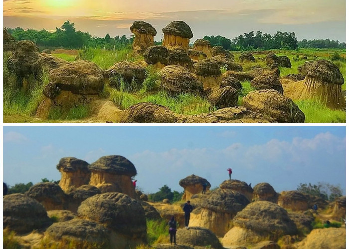 Sejarah dan Keajaiban Alam Bukit Jamur: Formasi Batu yang Menyerupai Jamur di Ngawi, Jawa Timur!