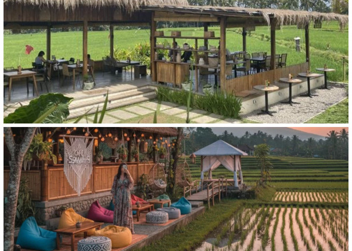 10 Konsep Desain Cafe Pinggir Sawah Paling Viral 2026 yang Menggabungkan Modernitas dan Keasrian Alam