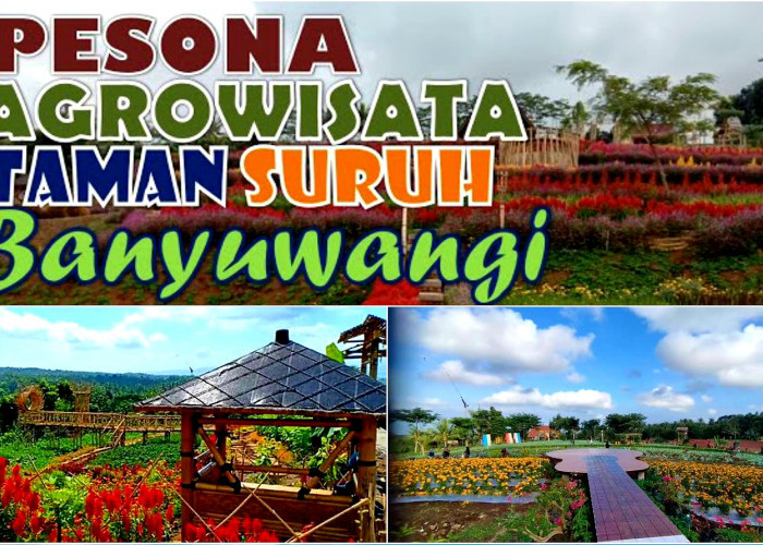 Keindahan Agrowisata Taman Suruh Banyuwangi Menawan. Ini Daya Tariknya!