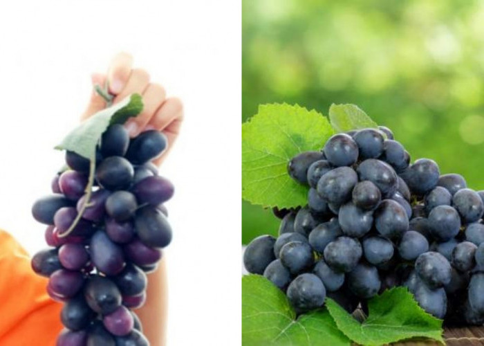 Kaya Nutrisi, Ini Manfaat Buah Anggur bagi Pertumbuhan dan Kesehatan Anak!