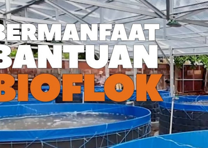 Ciptakan Kemandirian, Bersaing di Dunia Luar