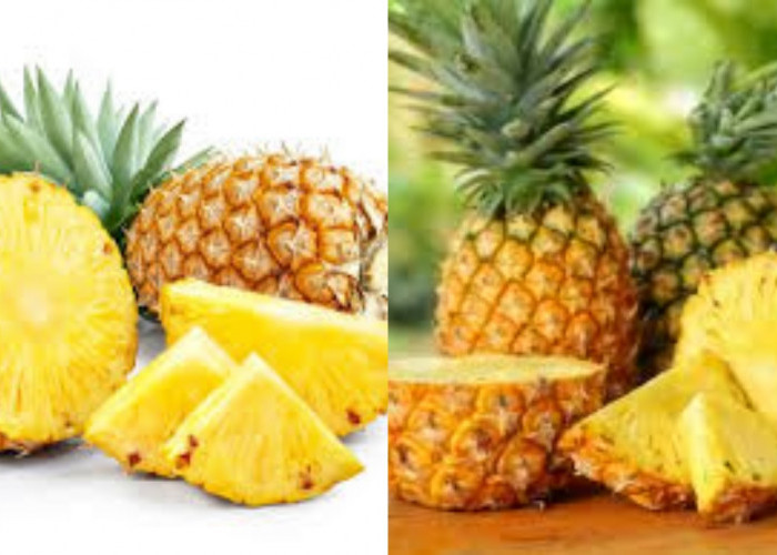 Inilah Manfaat Nanas Untuk Kesehatan Tubuh Yang Jarang Diketahui!