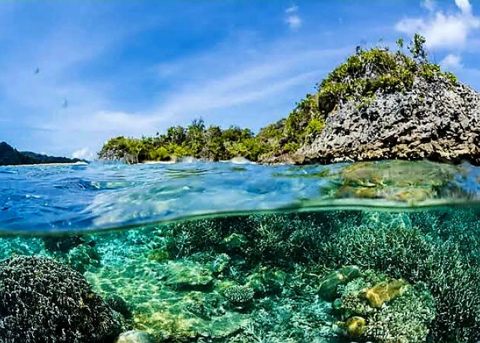 Pulau Maspari, Cocok Untuk yang Hoby Menyelam dan Snorkking, Surga Terpendam di Ujung Timur Sumatera Selatan