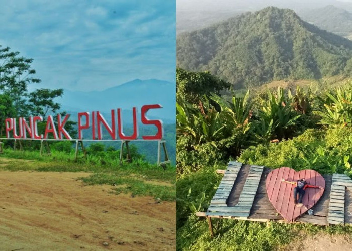 Bukit Kembar Puncak Pinus, Surga Tersembunyi di Karawang  yang Instagramable