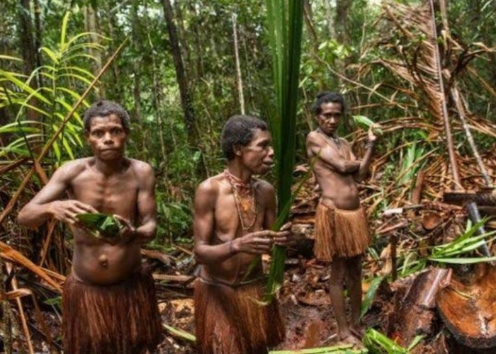 Tradisi Aneh dan Mengerikan! Suku Fore Punya Tradisi Memakan Daging Manusia Sebagai Penghormatan 