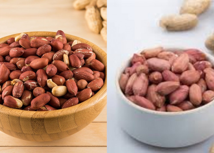 Tak Hanya Lezat, Inilah 8 Manfaat Kacang Untuk Kesehatan Tubuh Yang Luar Biasa!