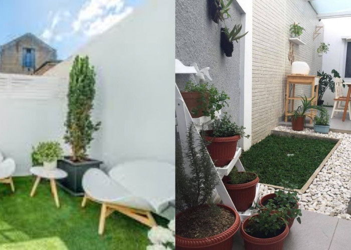Tak Perlu Lahan Luas! Taman Minimalis Ini Cocok untuk Rumah Sempit