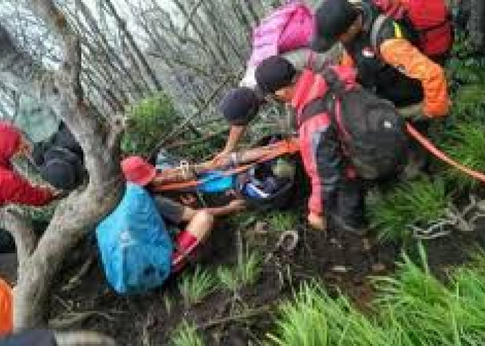 5 Fakta Keangkeran Gunung Dempo yang Tak Terungkap? Salahsatunya Siluman Harimau