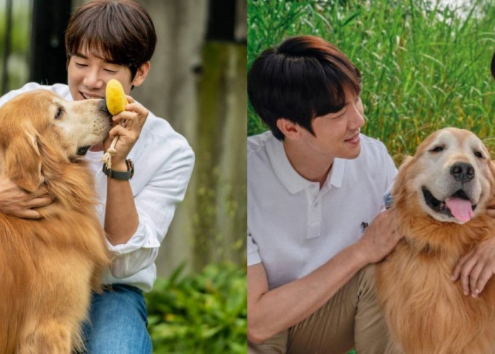 Sinopsis Film Korea My Puppy, Cocok Buat Kamu Yang Ngakunya Pecinta Hewan