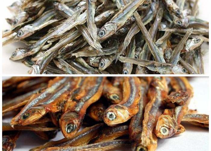 Mengenal 5 Keunggulan Nutrisi Ikan Teri sebagai Sumber Protein Berkualitas