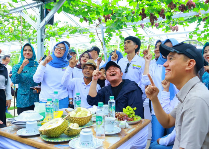 Herman Deru Apresiasi Kebun Anggur Viral, Gubernur : Bisa Jadi Peluang Pariwisata dan Ekonomi
