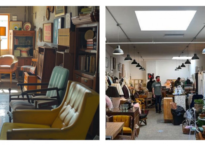 10 Barang Thrift yang Wajib Dibeli untuk Rumah Minimalis: Hemat, Stylish, dan Ramah Lingkungan