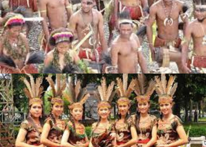 Mari Mengulik Perbedaan Budaya dan Adat Suku Papua dan Kalimantan 
