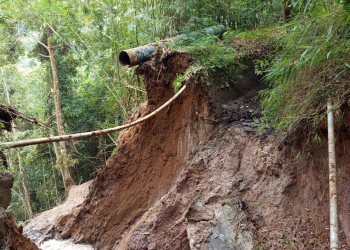 Longsor Putus Saluran Irigasi di Candi Jaya