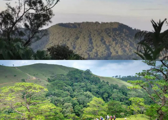 Gunung Lesung Bali, Destinasi Pendakian yang Wajib Dicoba dengan Keindahan Alam yang Masih Asri