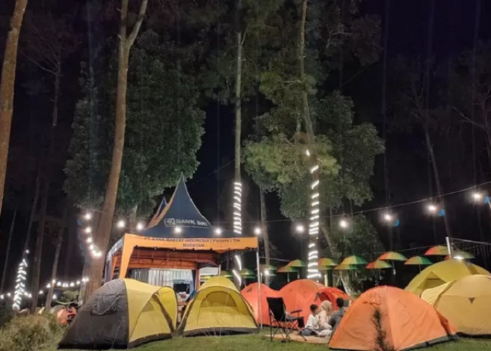 Liburan Wajib Kesini! Menjajal Camping di Bumi Perkemahan Alastuwo di Magetan yang Bikin Betah