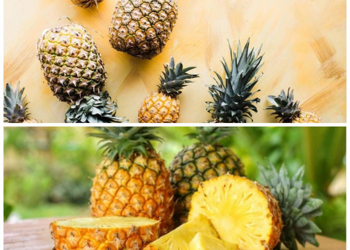 Lezat Sekaligus Sehat: Beragam Manfaat Nanas yang Baik untuk Pencernaan