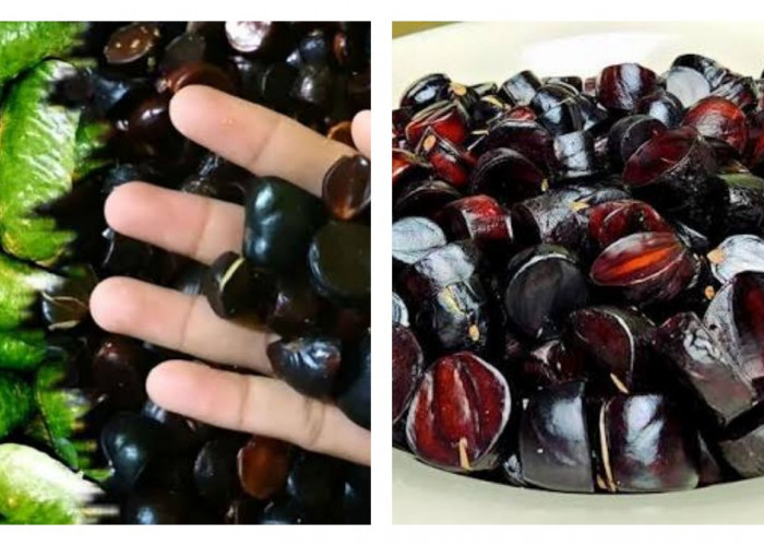 Khasiat Buah Kabau, Si Hitam dengan Beragam Potensi Manfaat