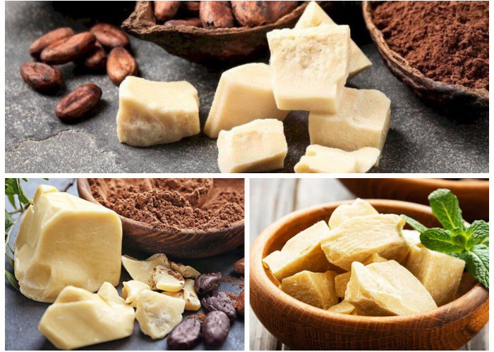 Cocoa Butter, Memiliki Banyak Manfaat untuk Kesehatan, Termasuk Melembapkan Kulit!