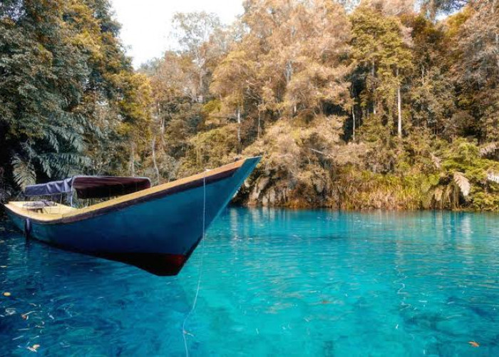 Eksotisme Kalimantan, Mengungkap Keindahan dan Keanekaragaman Wisata di Borneo