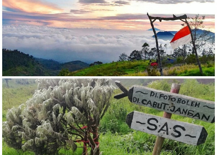 Sejarah Puncak Artapela: Keindahan Alam dan Jejak Legenda di Tanah Sunda!
