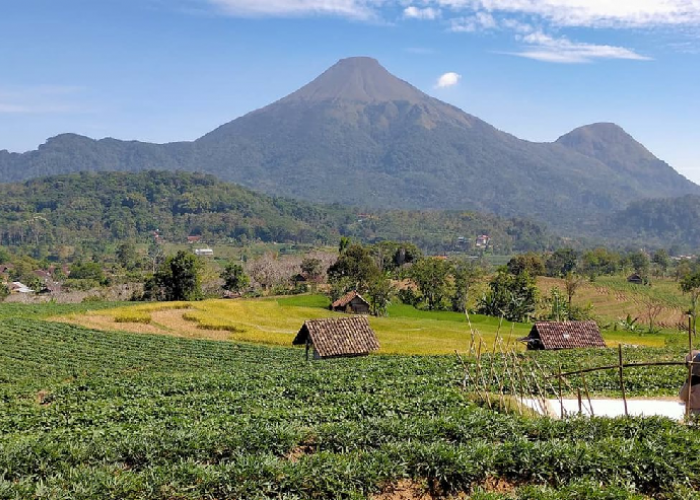 Pesona Gunung Penanggungan: Mengungkap Sejarah dan Mitos yang Menyertainya