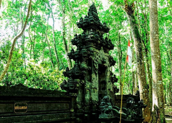 Temukan Harta Karun Didalam Hutan, Warga Geger Dengan Istana 5 Ha Di Jawa Timur!