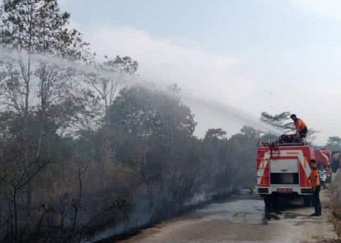Kemarau Ancam Kekeringan di Pagar Alam, BPBD Ingatkan Bahaya Karhutla