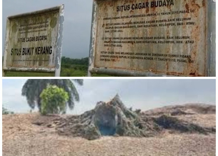 Bukit Kerang Nusantara: Melacak Sejarah dan Kehidupan Prasejarah di Tepi Laut