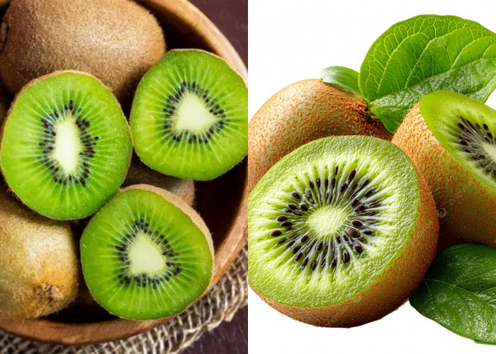 Ini Dia Guys Kandungan Dan Manfaat Dari Buah Kiwi Untuk Kesehatan Tubuh! 