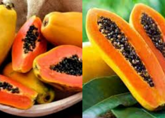 Meningkatkan Kekebalan Tubuh Ini Manfaat Pepaya Untuk Kesehatan Yang Jarang Diketahui!