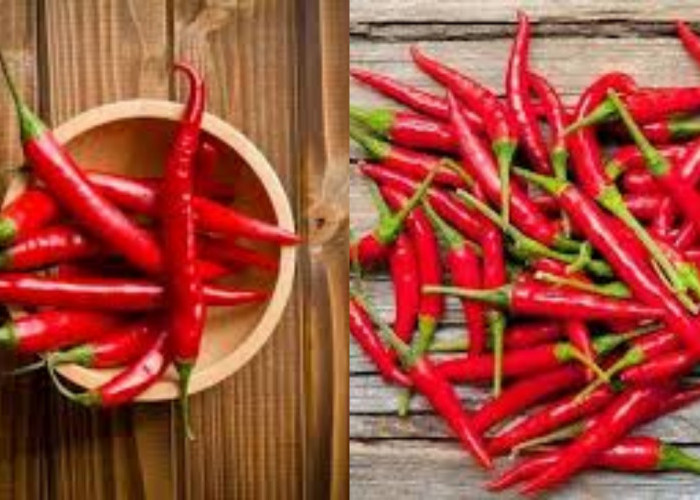 Tak Disangka, Ini Manfaat Cabai bagi Kesehatan Tubuh Anda!