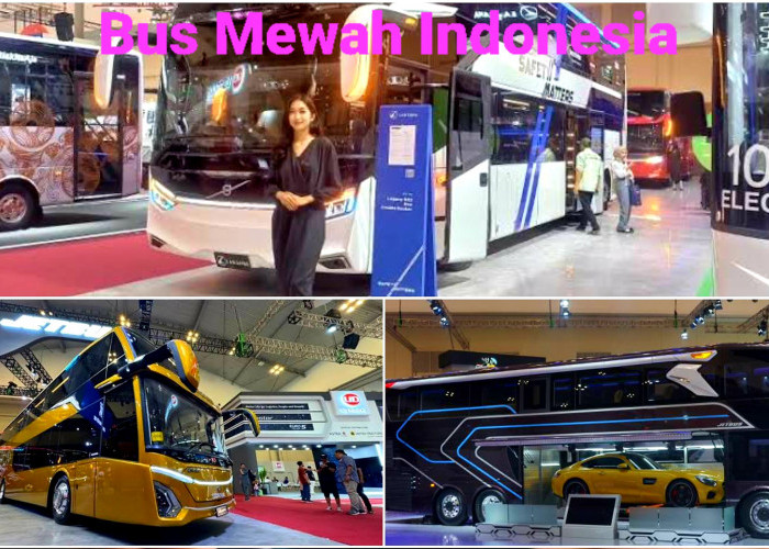 Perjalanan Jadi Lebih Menyenangkan. Berikut Daftar Bus Mewah yang Hiasi Jalanan Indonesia