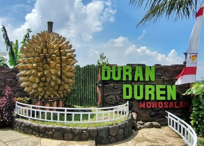 Agrowisata Duren Duren Wonosalam Jombang Taman Buah Yang Bikin Nagih