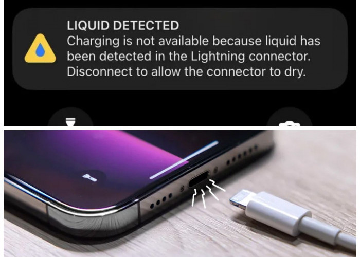 Peringatan Cairan di Port iPhone: Begini Cara Mengatasinya dengan Aman