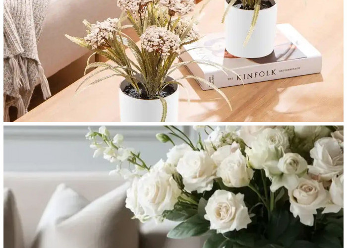 Ruang Tamu Terlihat Mahal: 15 Pilihan Bunga Hias yang Memberikan Kesan Mewah dan Elegan di Setiap Sudut