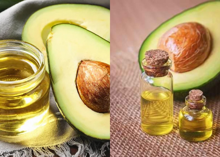 Yuk Coba 7 Manfaat Minyak Alpukat Untuk Kesehatan Tubuh Yang Luar Biasa Khasiatnya! 