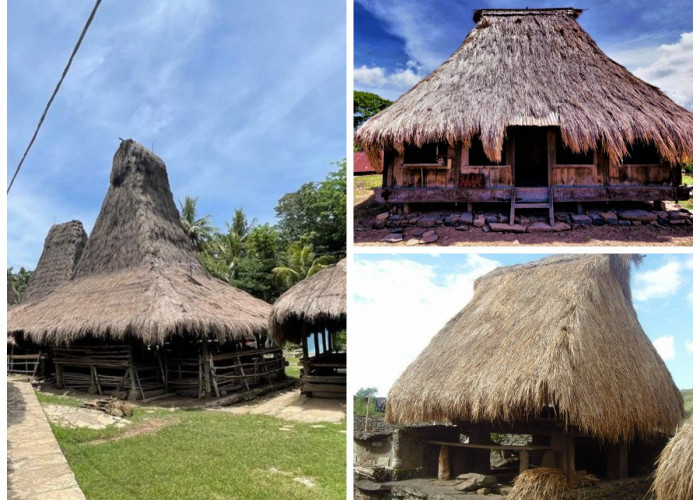 Sejarah Rumah Adat Nusa Tenggara Timur: Rumah Musalaki, Simbol Kepemimpinan dan Warisan Budaya Suku Ende-Lio!