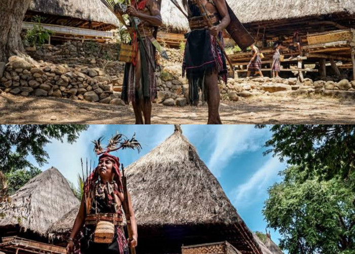 Kampung Adat Takpala: Permata Tersembunyi Alor dengan Budaya dan Kehidupan Tradisional yang Autentik