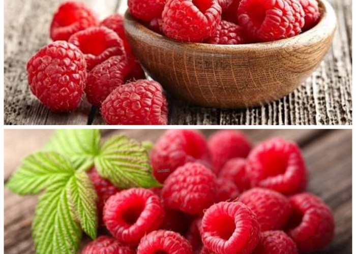 Rahasia Kesehatan dari Raspberry: 8 Manfaat Luar Biasa yang Jarang Diketahui!