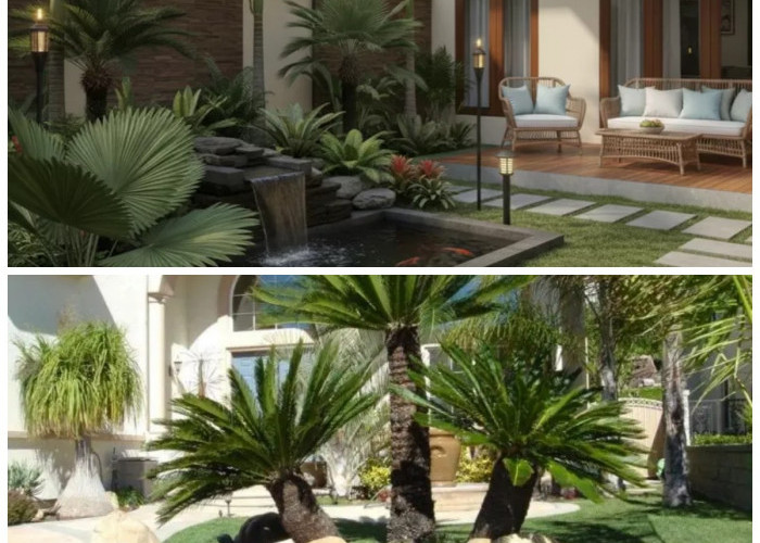 Pilihan Palem Mini untuk Halaman Rumah: Tropis, Cantik, dan Mudah Dirawat