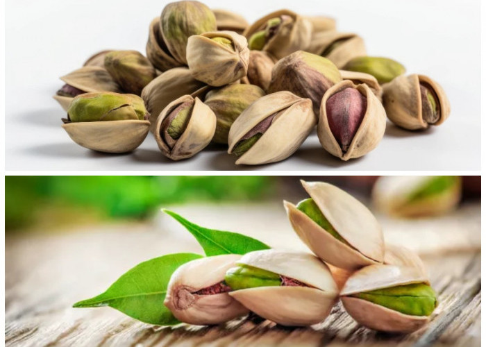 Manfaat Pistachio untuk Tubuh Sehat yang Wajib Kamu Tahu